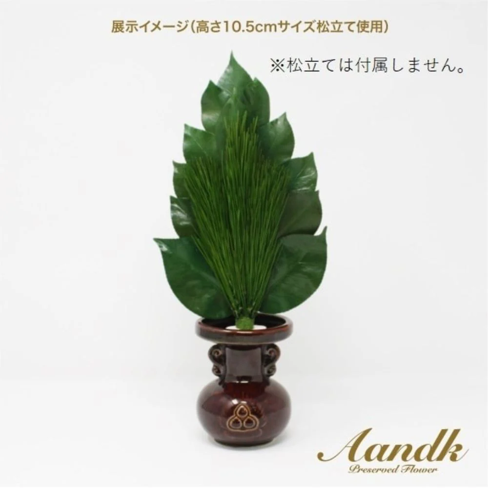 榊 プレミアムプリザーブド 荒神松 M FK-007M 【直送品】 返品・キャンセル・他商品と同時購入は不可 - Image 3