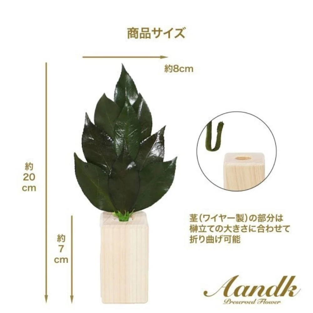 ミニS榊 角立て 鳥居付き神棚大セット ST-036 【直送品】 返品・キャンセル・他商品と同時購入は不可 - Image 4