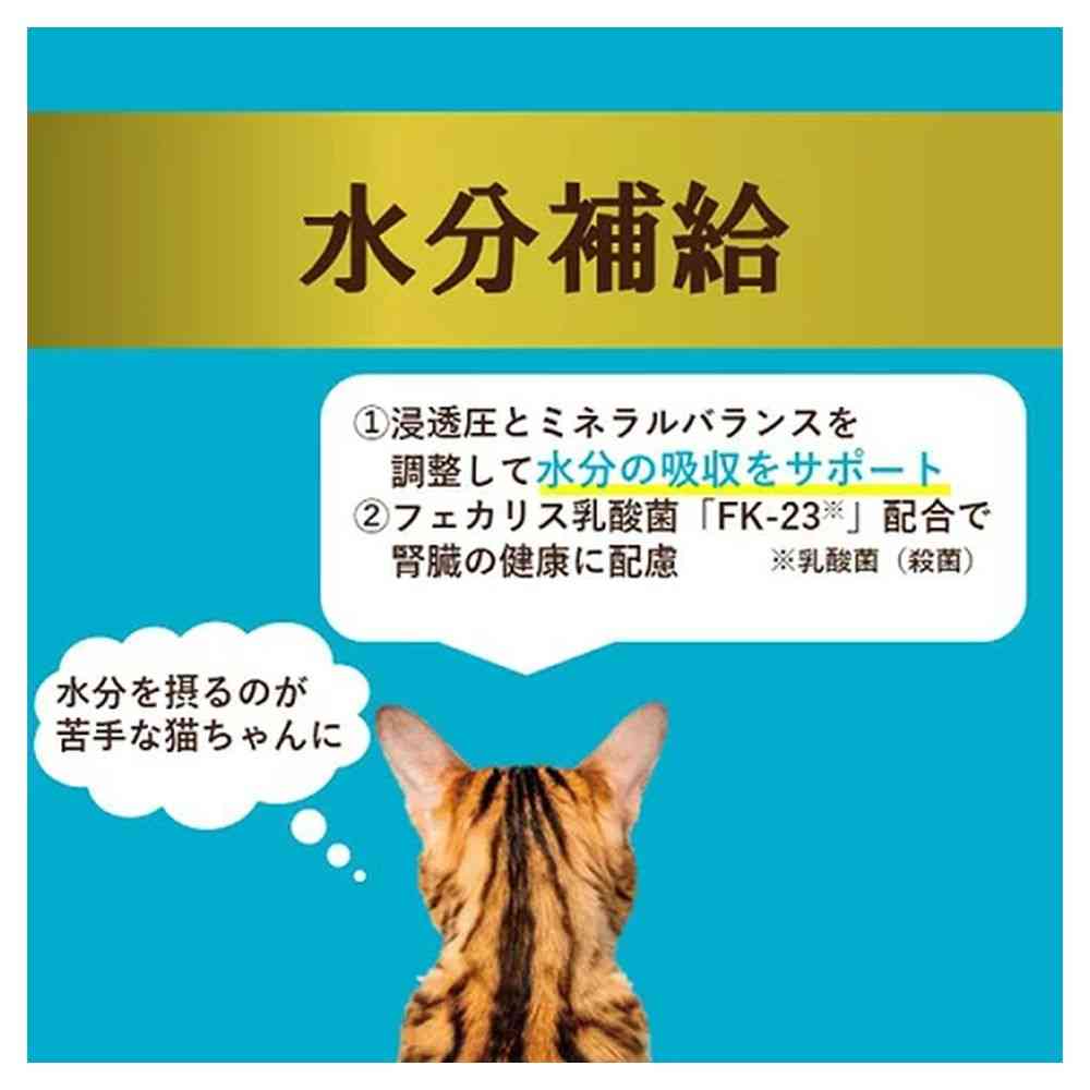 アイシア  i CARE 水分補給 かつおペースト 35g - Image 7