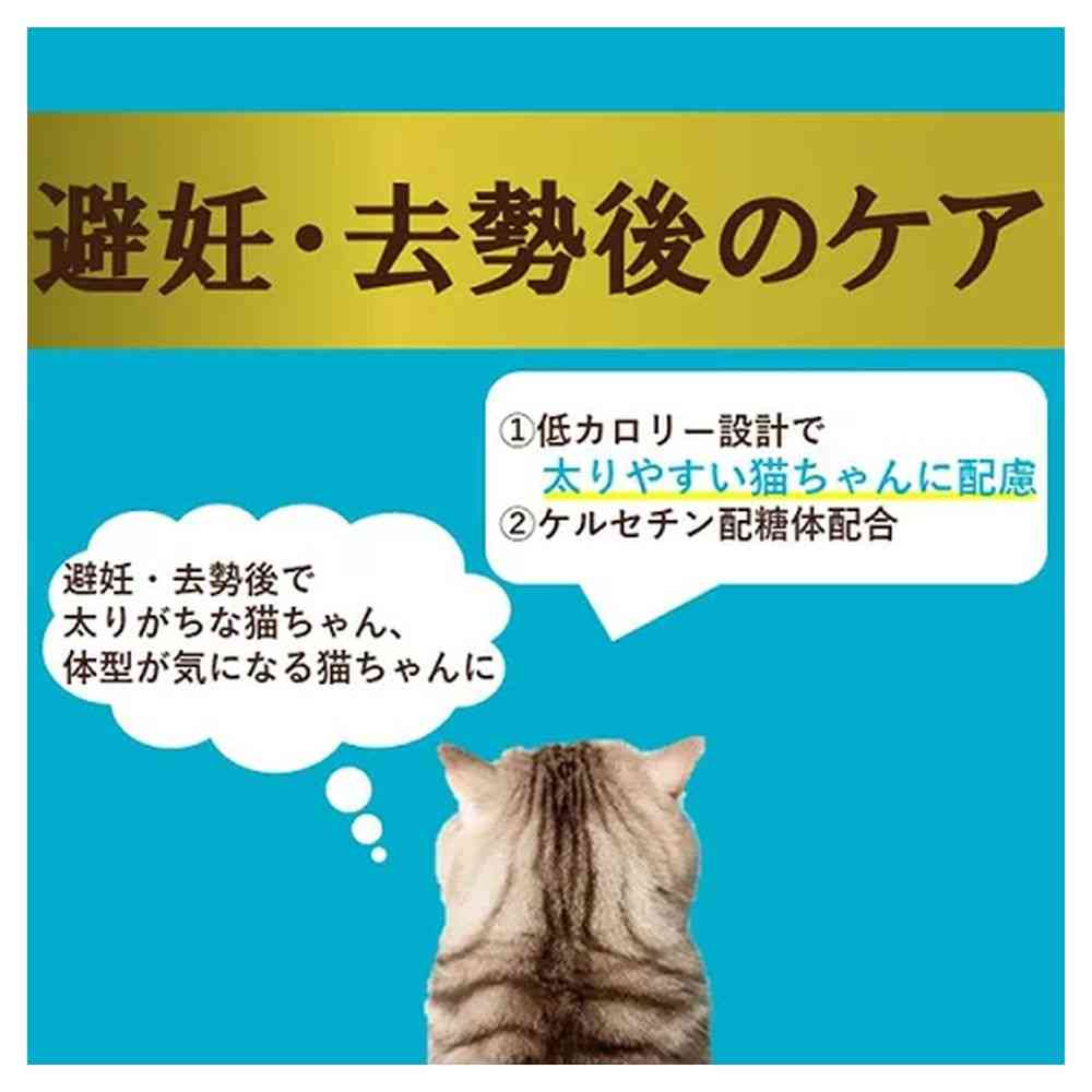 アイシア  i CARE 避妊・去勢後のケア まぐろペースト 35g - Image 7