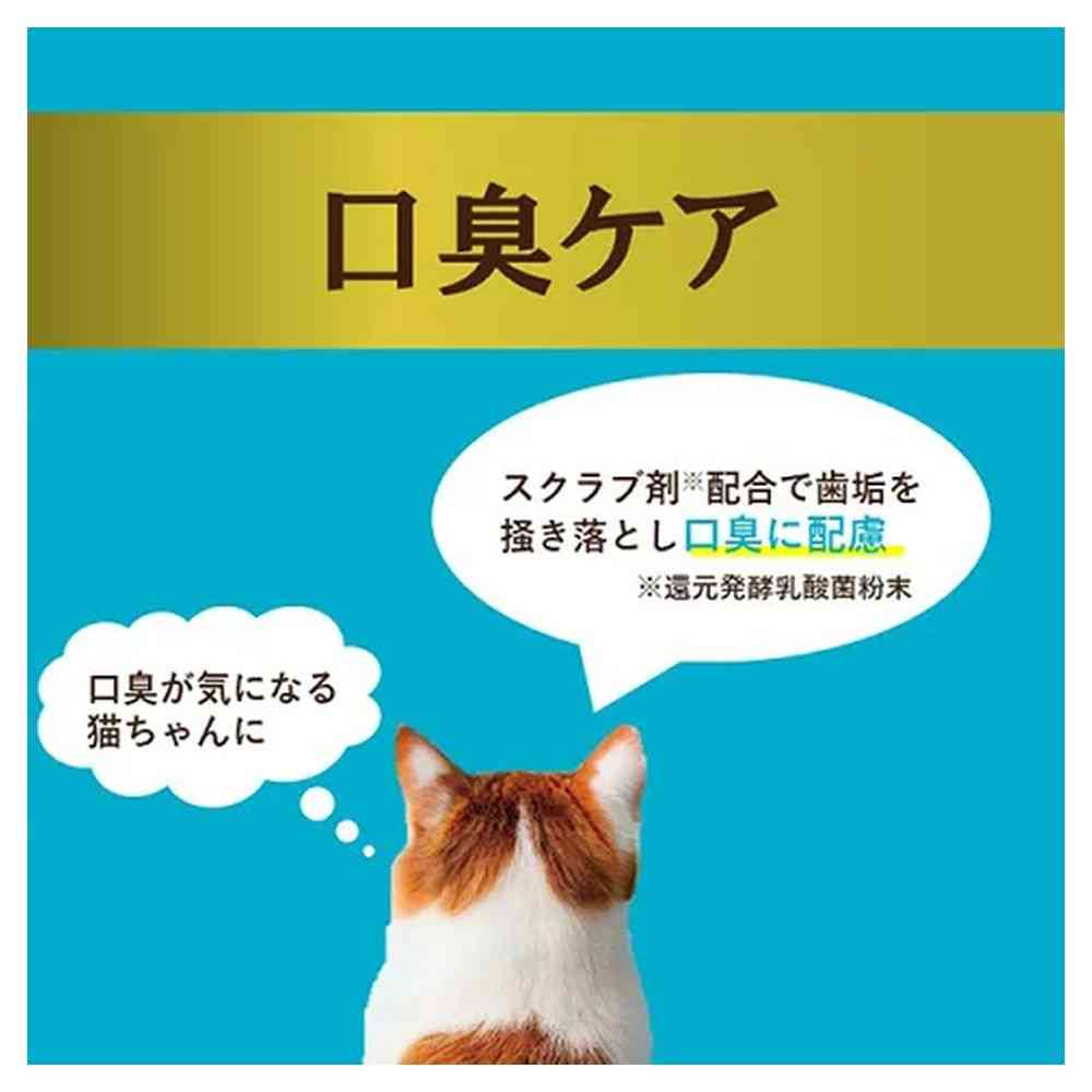 アイシア  i CARE 口臭ケア まぐろペースト 35g - Image 7