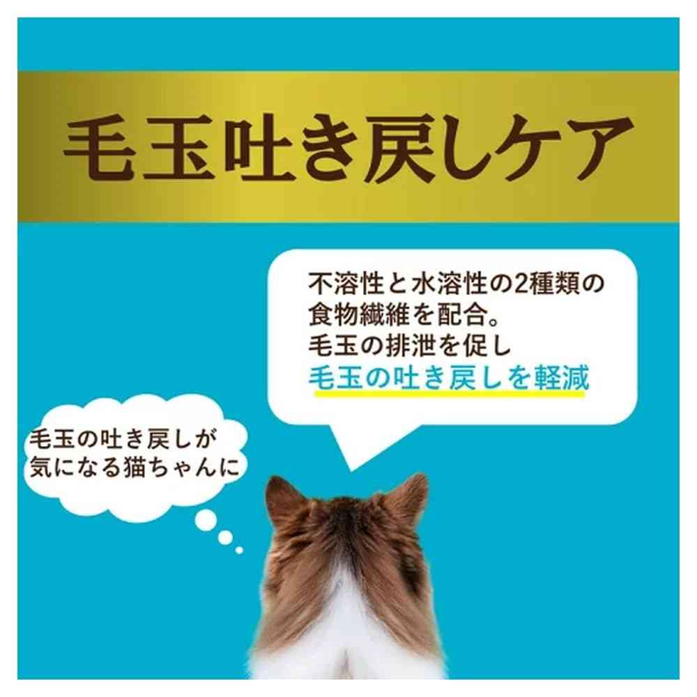 アイシア i CARE 毛玉吐き戻しケア まぐろペースト 35g - Image 7