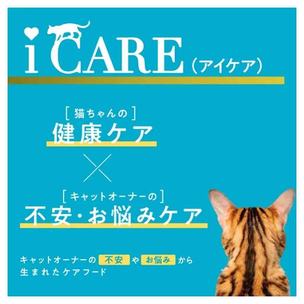 アイシア i CARE 食物アレルギーケア ささみスープ 35g - Image 4