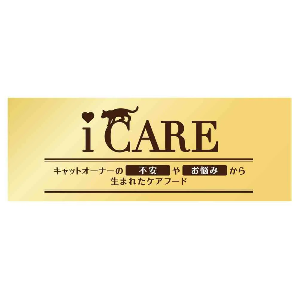 アイシア  i CARE キャットドライ 子ねこ用 フィッシュ＆チキン味 100g - Image 4