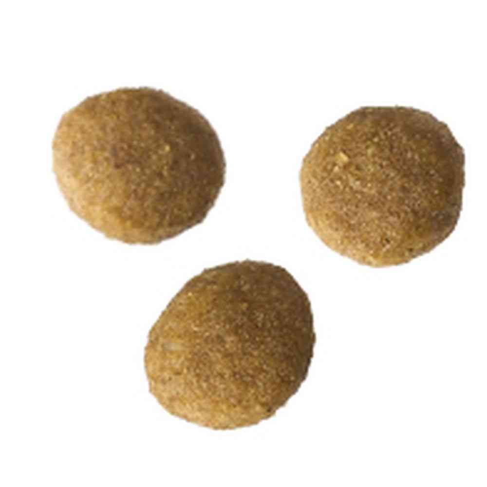 アイシア  i CARE キャットドライ チキン味 100g - Image 3