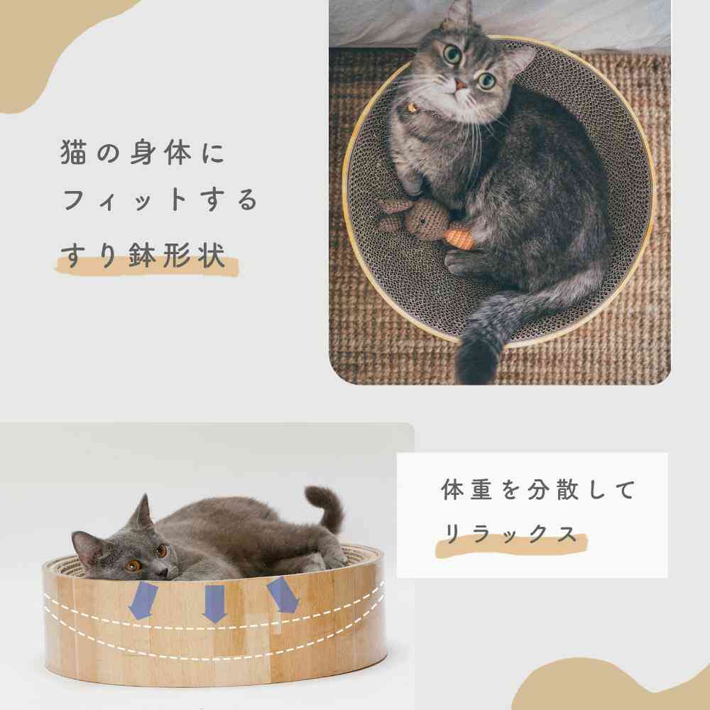 バリバリボウルXL ダークブラウン 【直送品】 返品・キャンセル・他商品と同時購入は不可 - Image 10