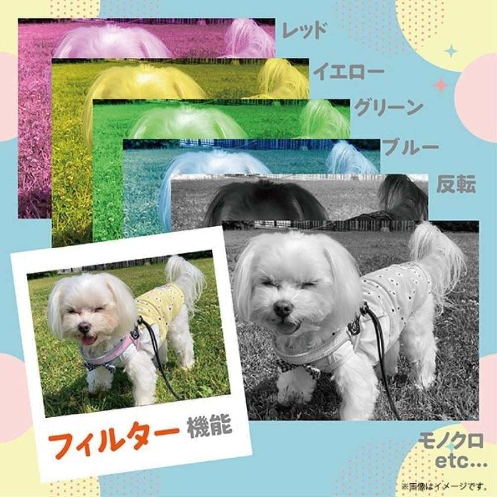 キッズトイカメラ マカロン ピスタチオ 【直送品】 返品・キャンセル・他商品と同時購入は不可 - Image 10