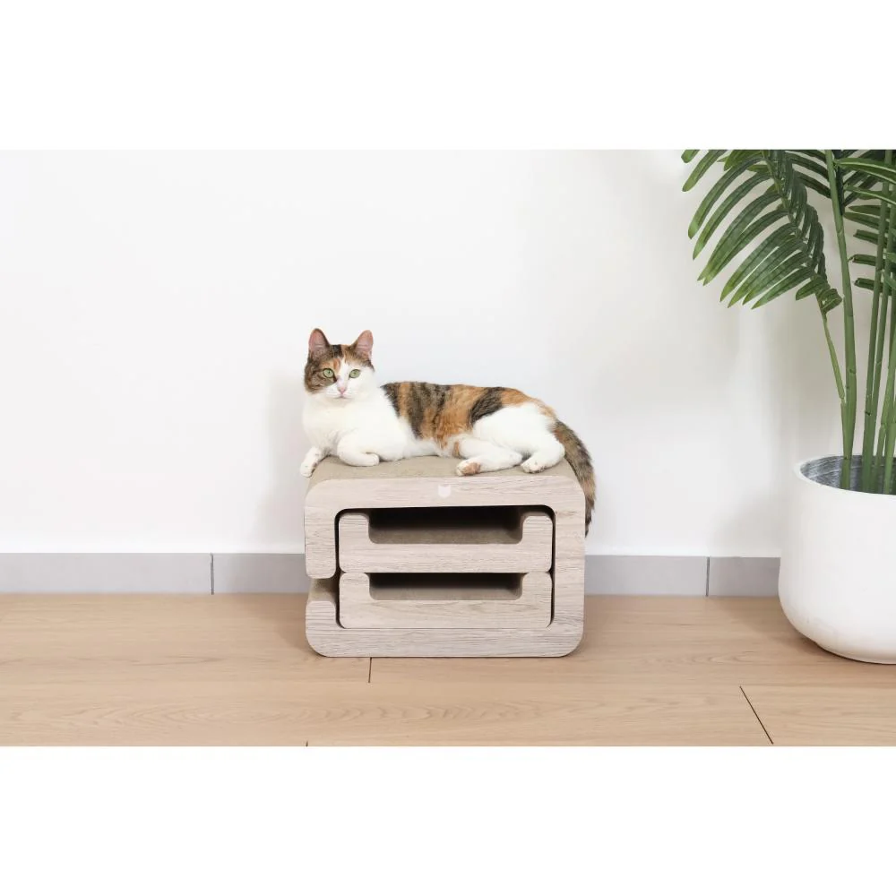バリバリステップ 【直送品】 返品・キャンセル・他商品と同時購入は不可 - Image 10