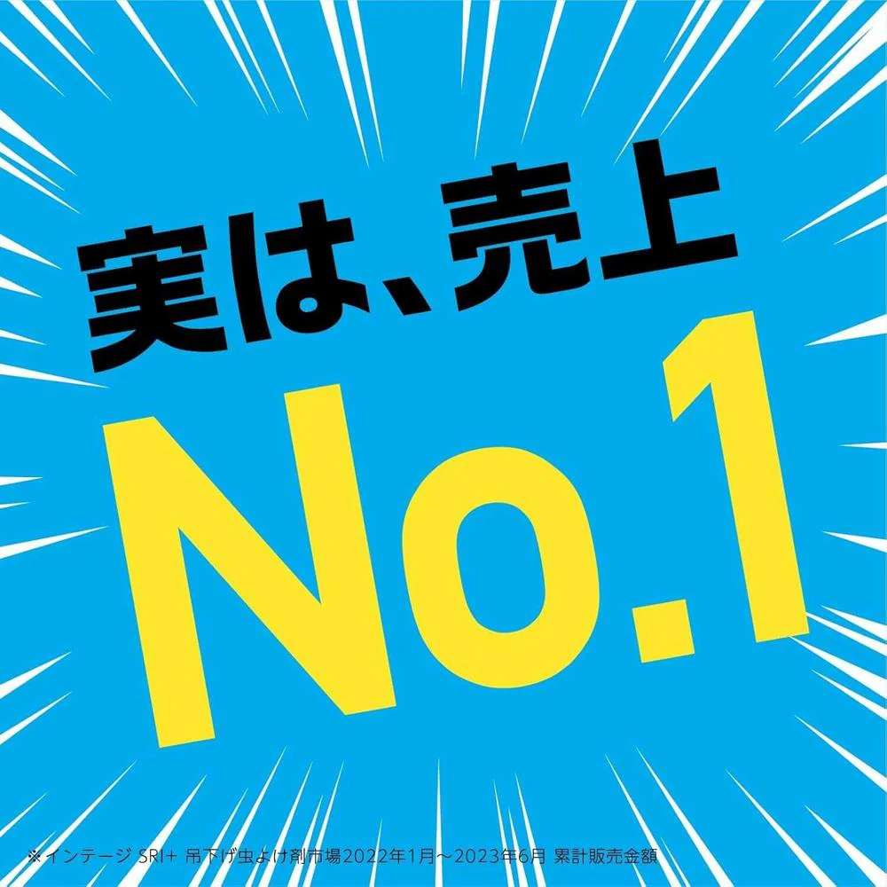 アース 虫よけネットＥＸ １年＋玄関１年 ２個パック - Image 4