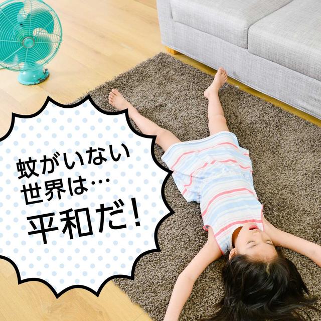マモルーム 蚊用 1440時間用 （60日） セット 蚊除け器具1個＋薬剤ボトル1本1440時間用 - Image 7