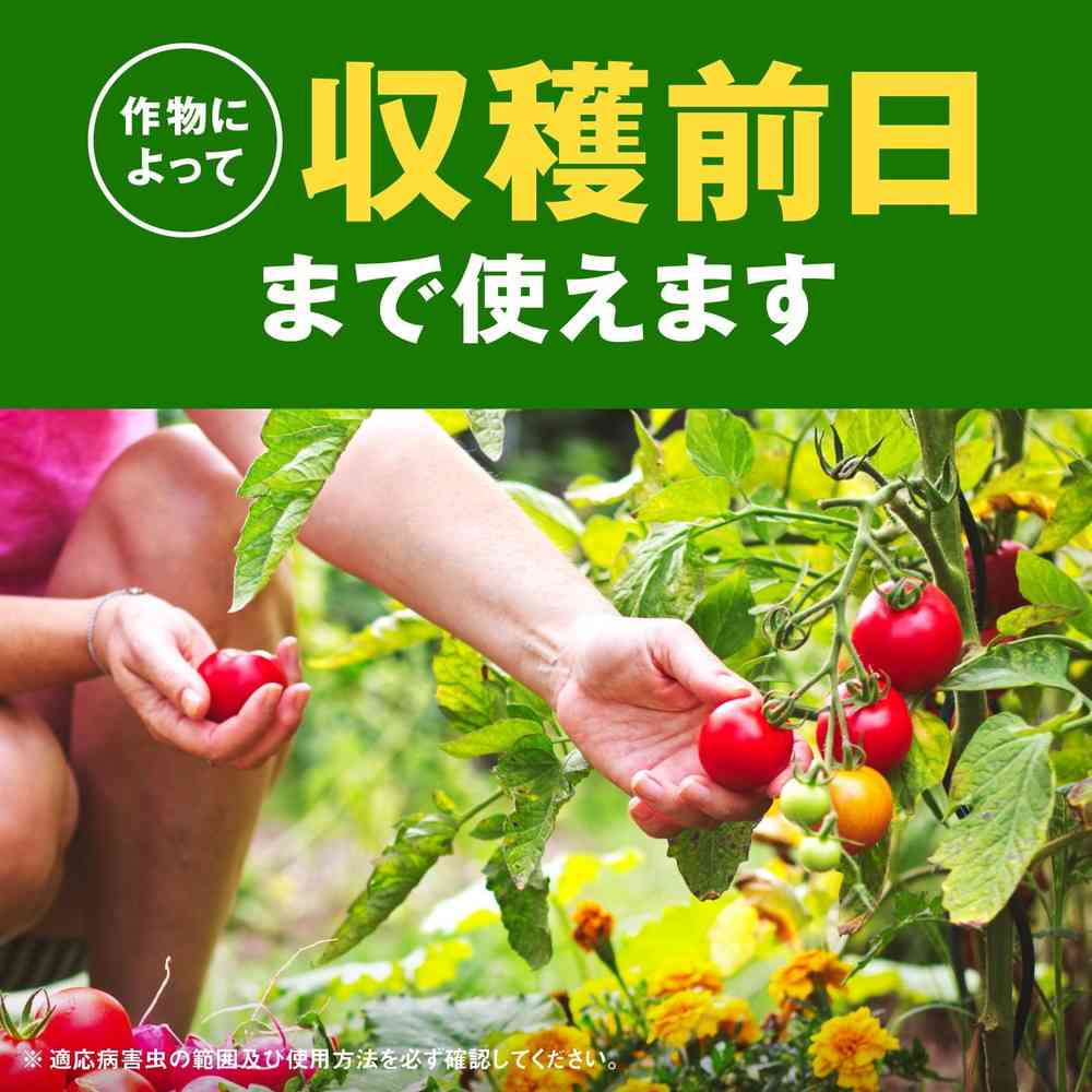 (農)アースガーデン 野菜うまし 1000ml - Image 5