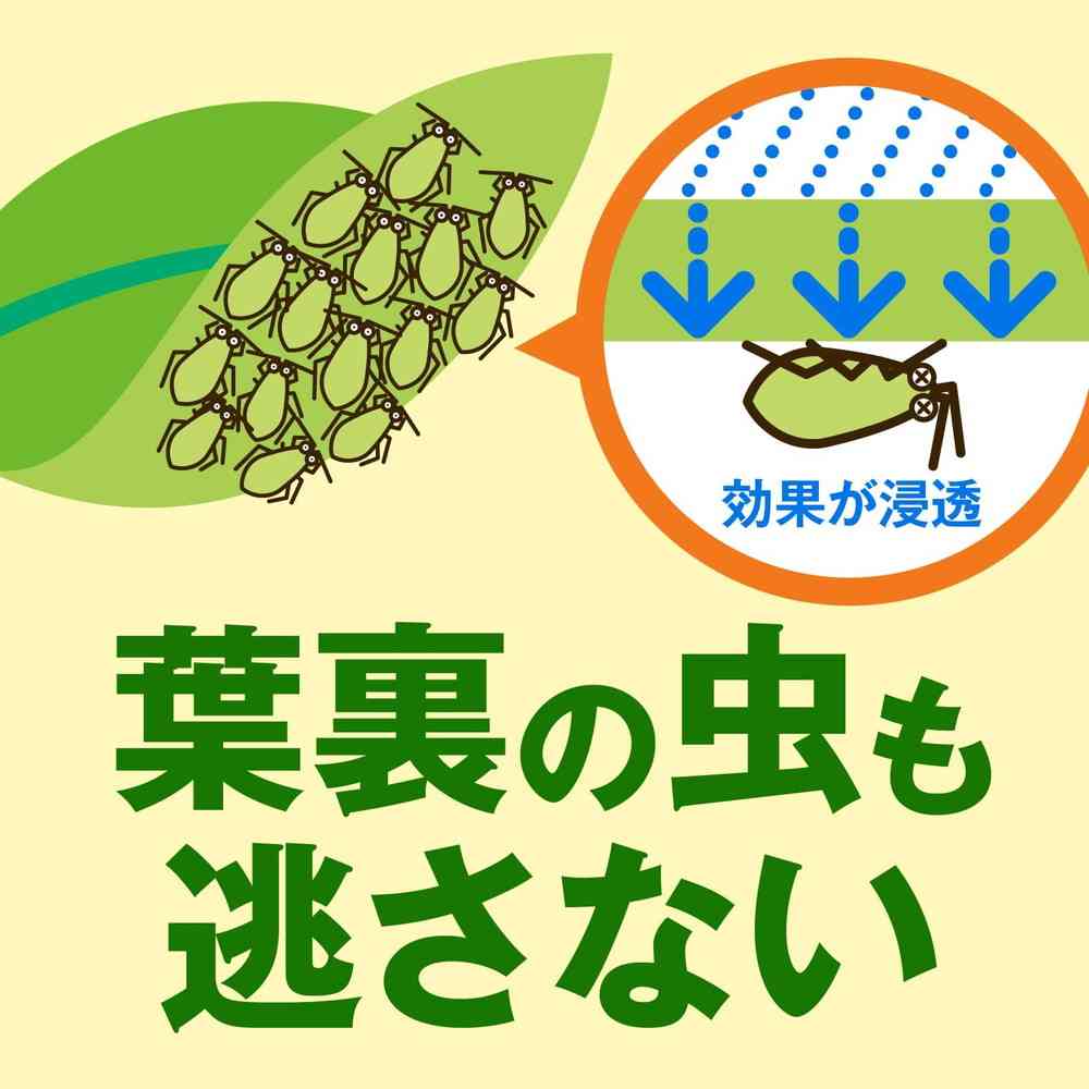 (農)アースガーデン 野菜うまし 1000ml - Image 6