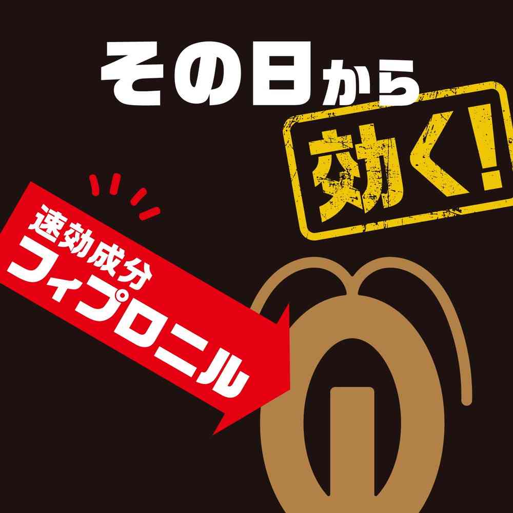【防除用医薬部外品】アース製薬 ブラックキャップ 1年間効く！ 12個 - Image 5