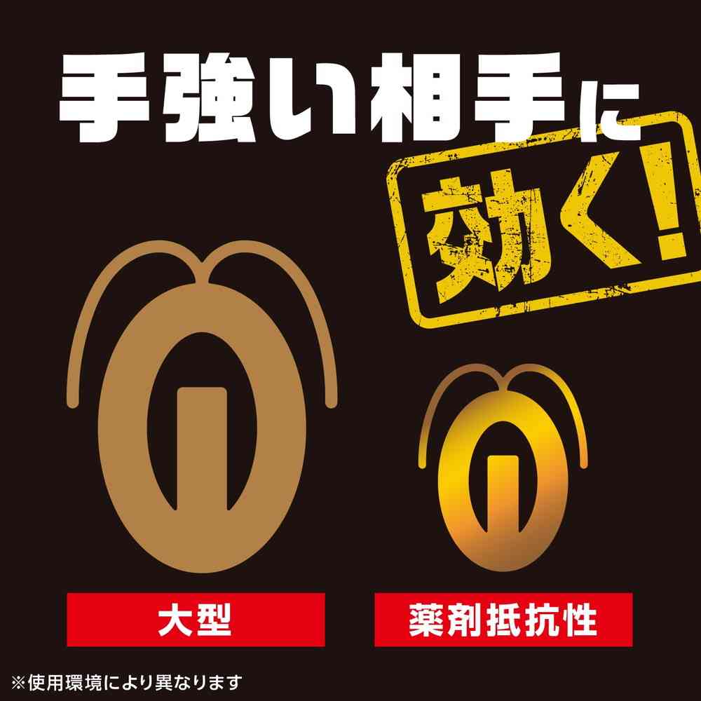 【防除用医薬部外品】アース製薬 ブラックキャップ 1年間効く！ 12個 - Image 6