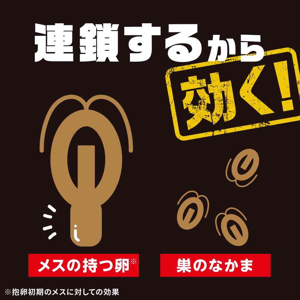 【防除用医薬部外品】アース製薬 ブラックキャップ 1年間効く！ 12個 - Image 7