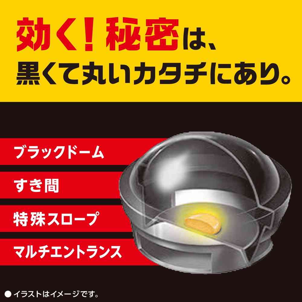 【防除用医薬部外品】アース製薬 ブラックキャップ 1年間効く！ 12個 - Image 8