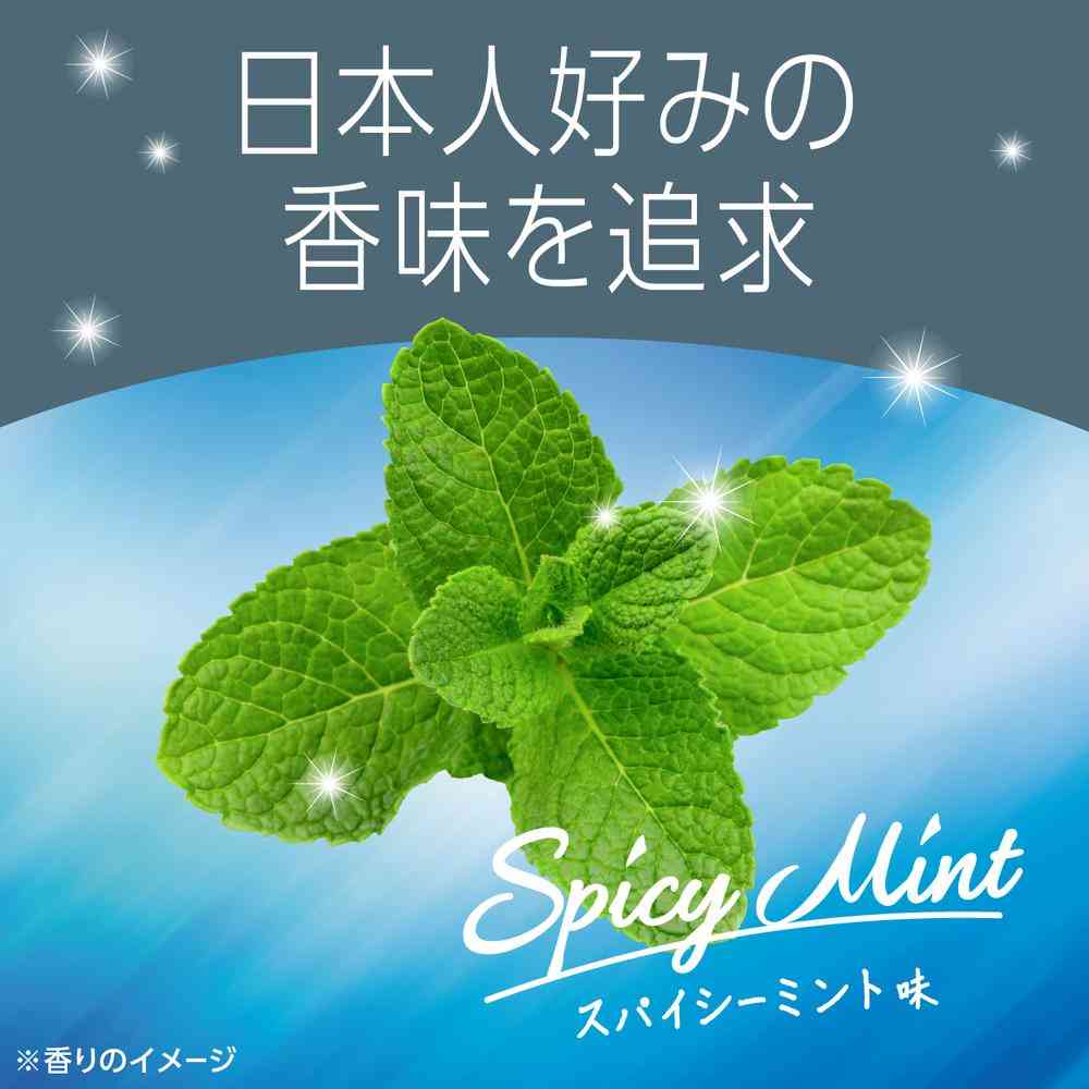 アース製薬 モンダミン スパイシーミント 1000ml - Image 7