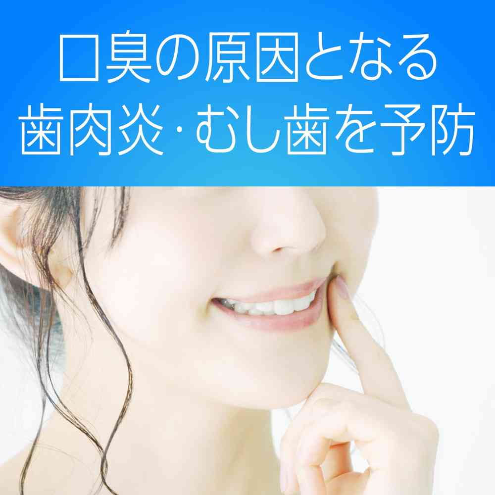 【医薬部外品】アース製薬 モンダミン プレミアムケア ホワイトミント 1000mL×2本 - Image 7