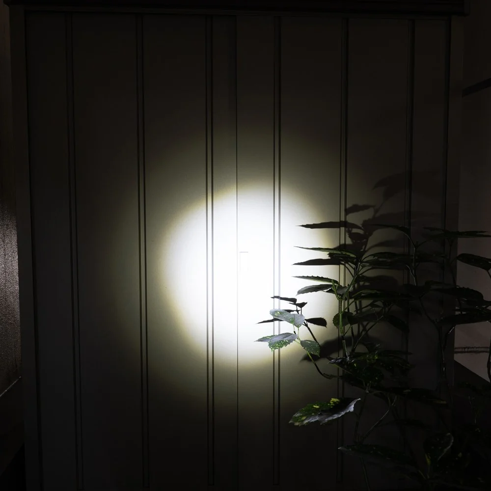 ELPA LED アルミハンドライト 250ルーメン DOP-EP520 1個 - Image 6