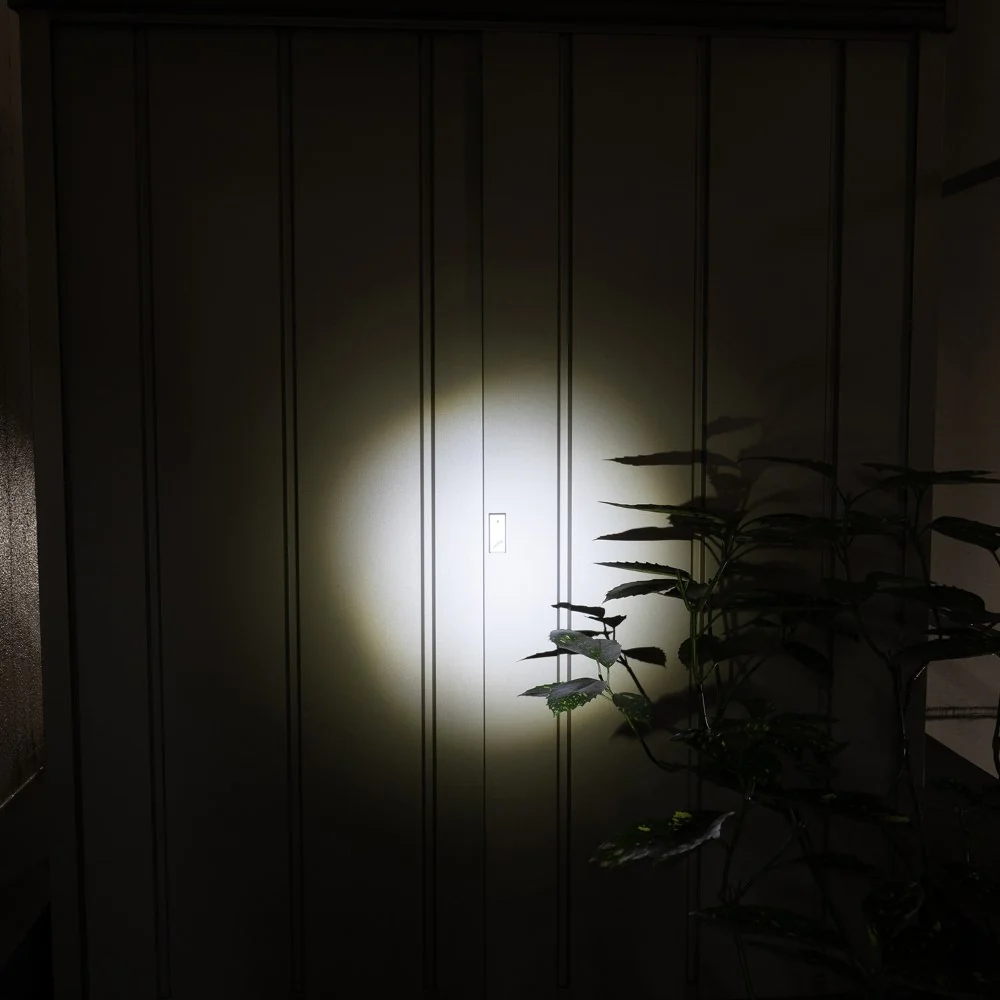 ELPA LED アルミハンドライト 250ルーメン DOP-EP520 1個 - Image 8