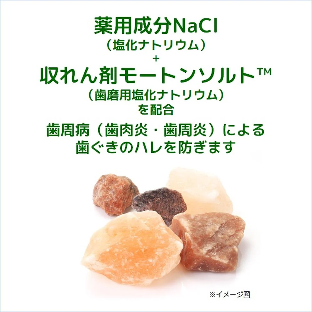ガム・デンタルペースト ソルティミント スタンディング 150g - Image 2