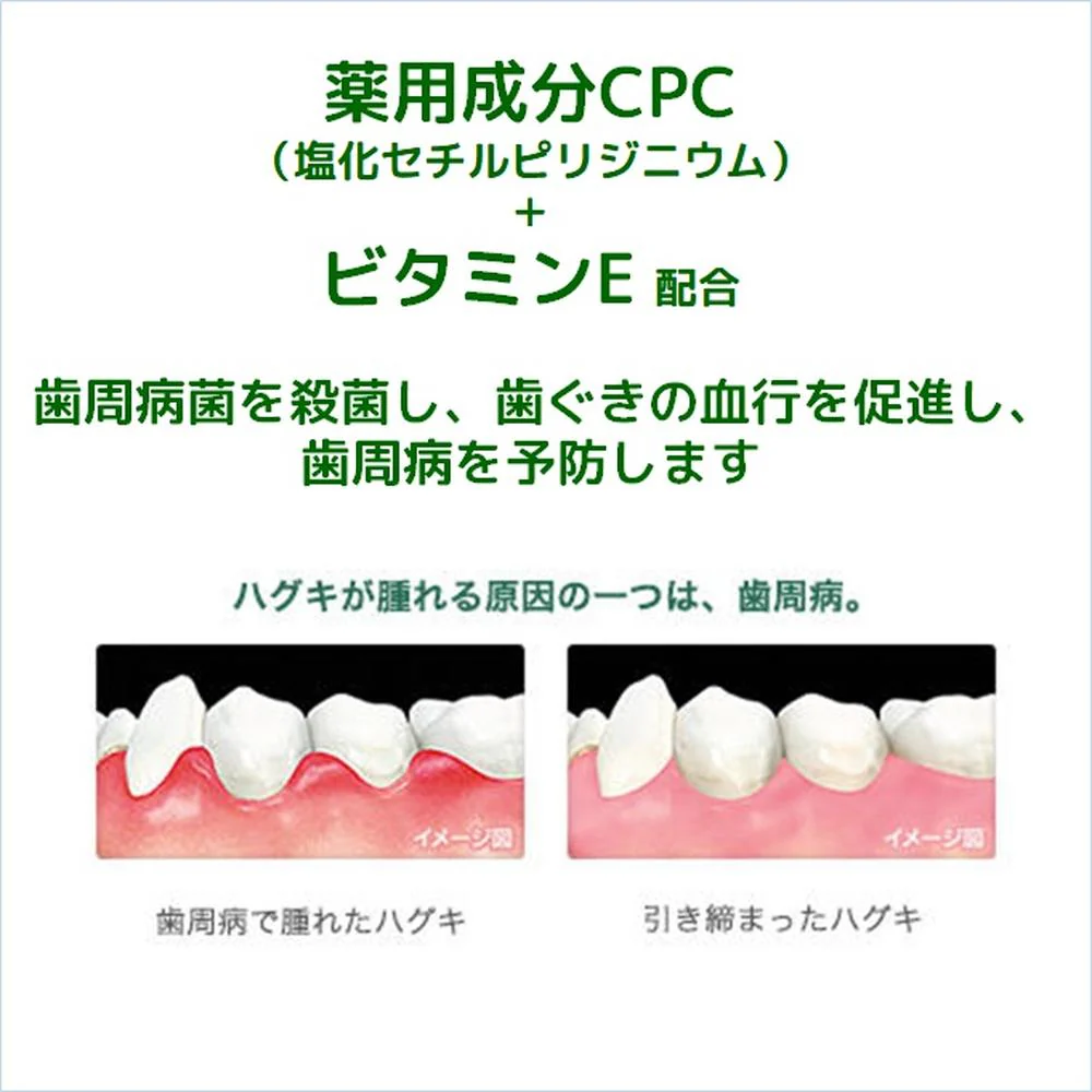 ガム・デンタルペースト ソルティミント スタンディング 150g - Image 3