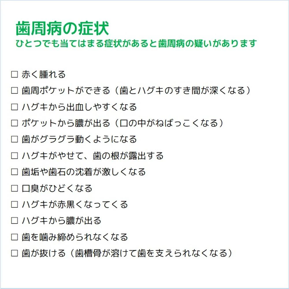 ガム・デンタルペースト ソルティミント スタンディング 150g - Image 5