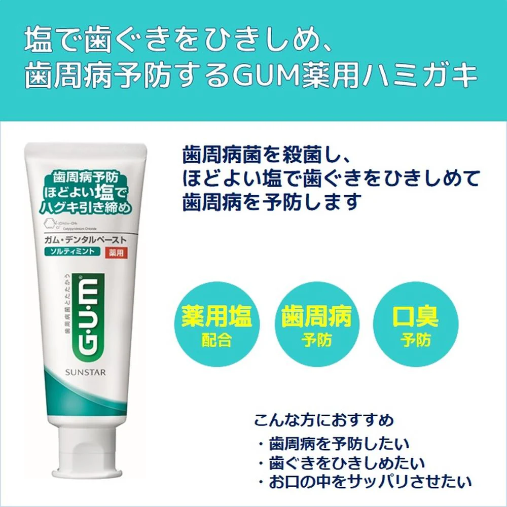 ガム・デンタルペースト ソルティミント スタンディング 150g - Image 6
