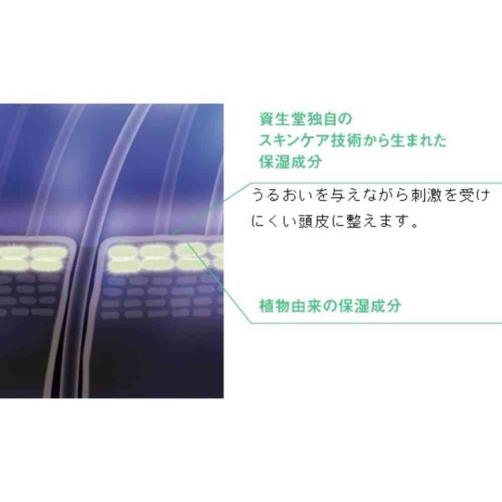 資生堂 プロフェッショナル ザ・ヘアケア フェンテフォルテ トリートメント A 250g - Image 2