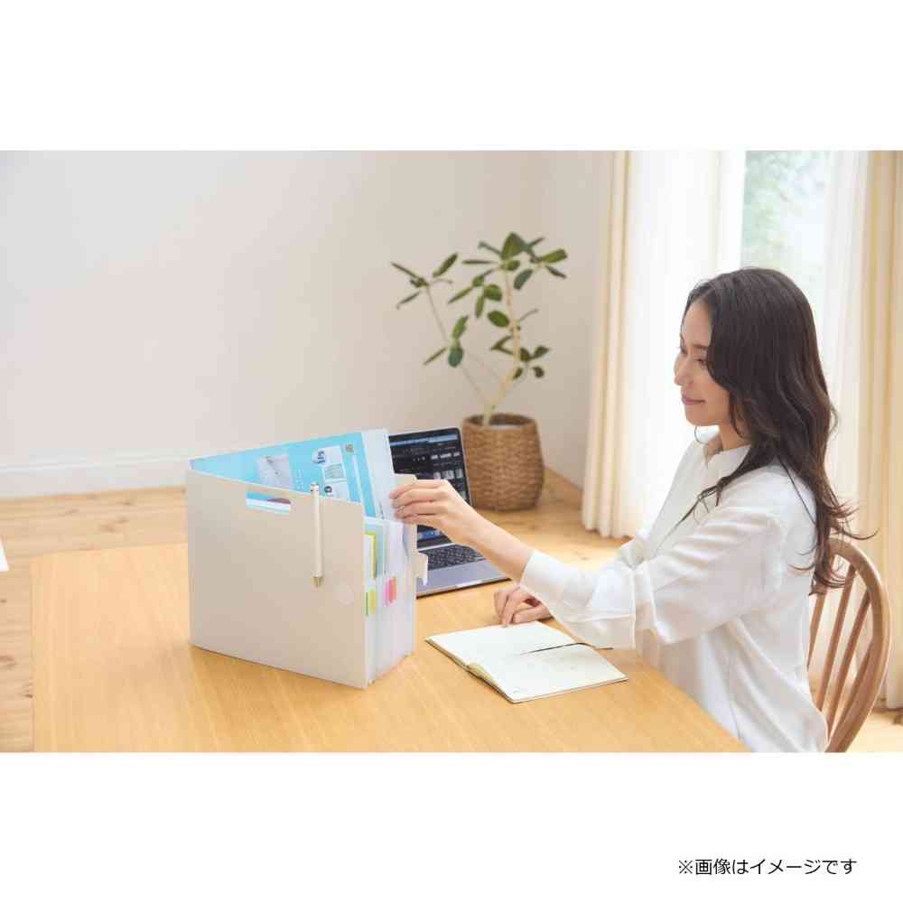 サクラクレパス こまごまファイル ホワイト A4サイズ - Image 9