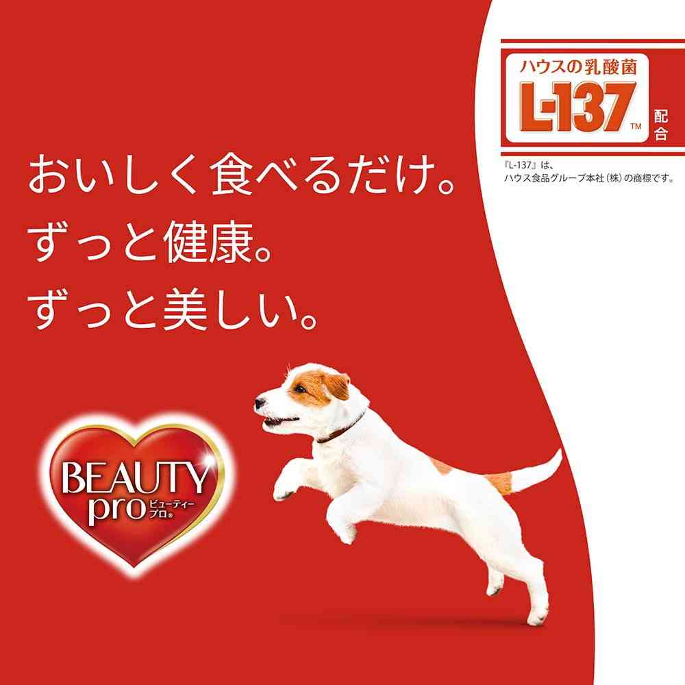 日本ペットフード ビューティープロ ドッグ 歯の健康 200g - Image 3