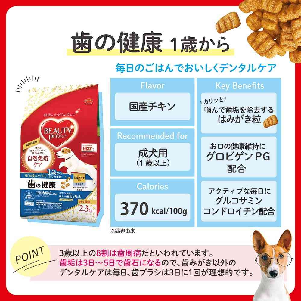 日本ペットフード ビューティープロ ドッグ 歯の健康 200g - Image 4