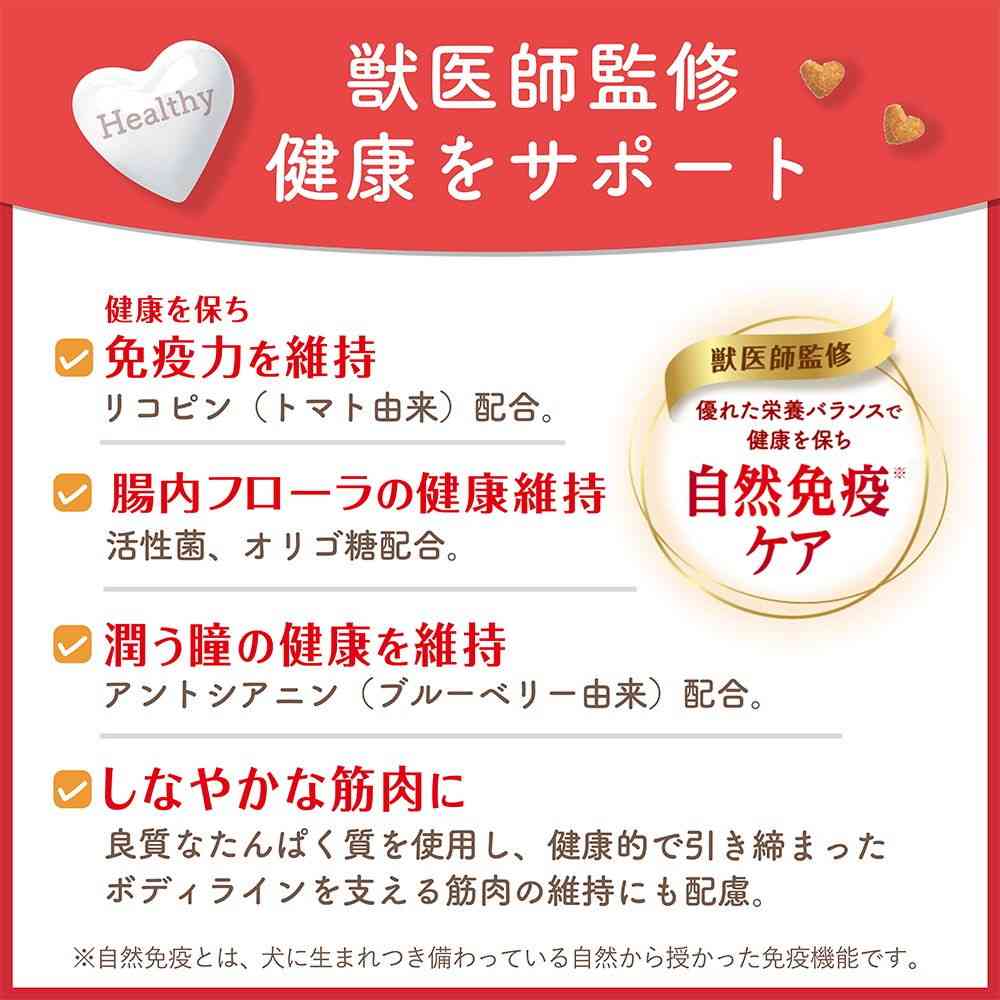 日本ペットフード ビューティープロ ドッグ 歯の健康 200g - Image 5