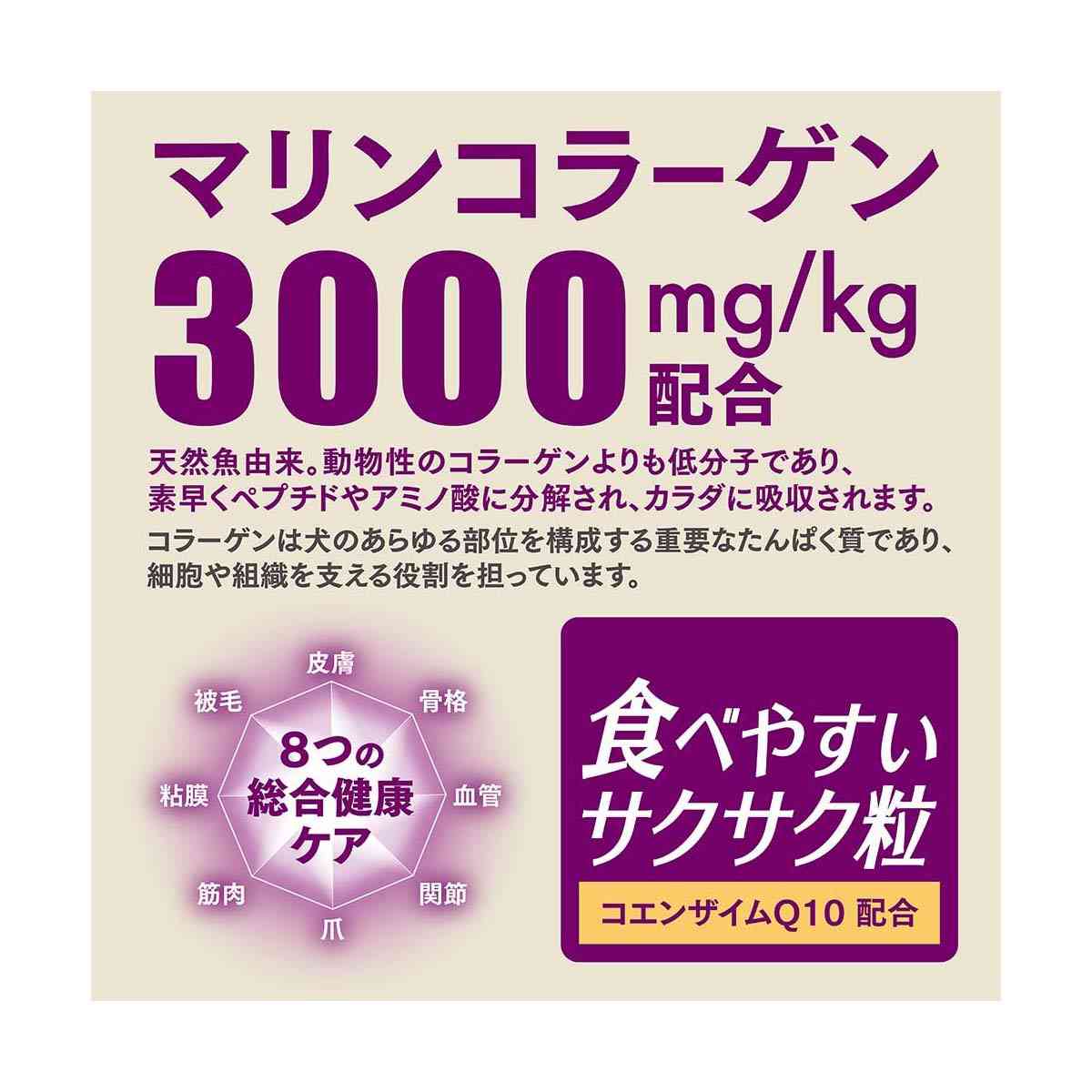 日本ペットフード ビューティープロ ドッグ パウダフル 10歳以上 チキン味 100g+2g - Image 7