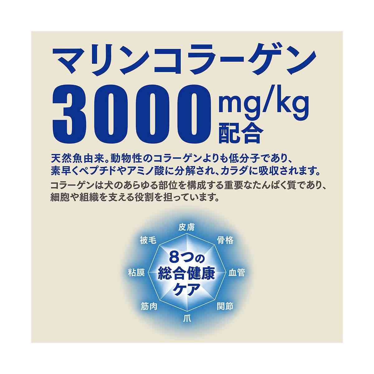 日本ペットフード ビューティープロ ドッグ パウダフル 成犬 チキン味・サツマイモ味パウダー付 300g×6袋+6g×6包 - Image 9