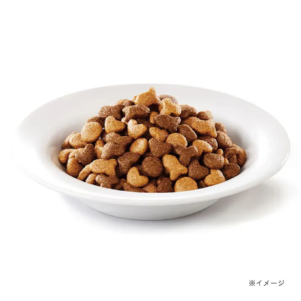 モンプチバッグ 子ねこ5種のブレンド 600g - Image 3