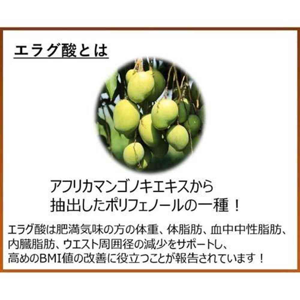 ◆【機能性表示食品】メロディアン スリーダウン コーヒー 10g×18個 - Image 4