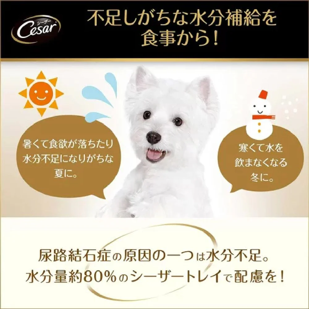 マース シーザー 子いぬ用 ビーフ にんじん・たまご入り 100g - Image 12