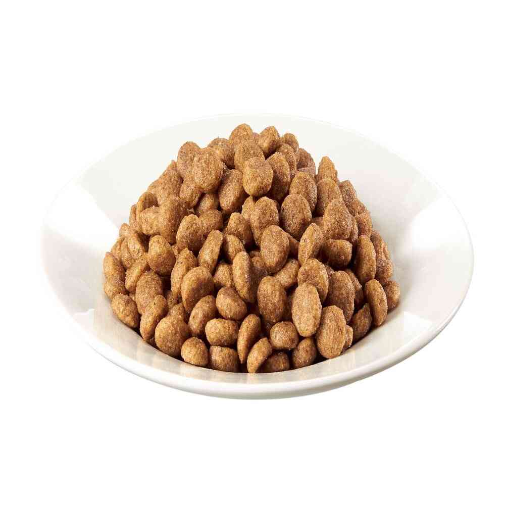マースジャパンリミテッド シーザードライ 成犬用 チキンと4種の農園野菜入り 小粒 1.5kg - Image 10