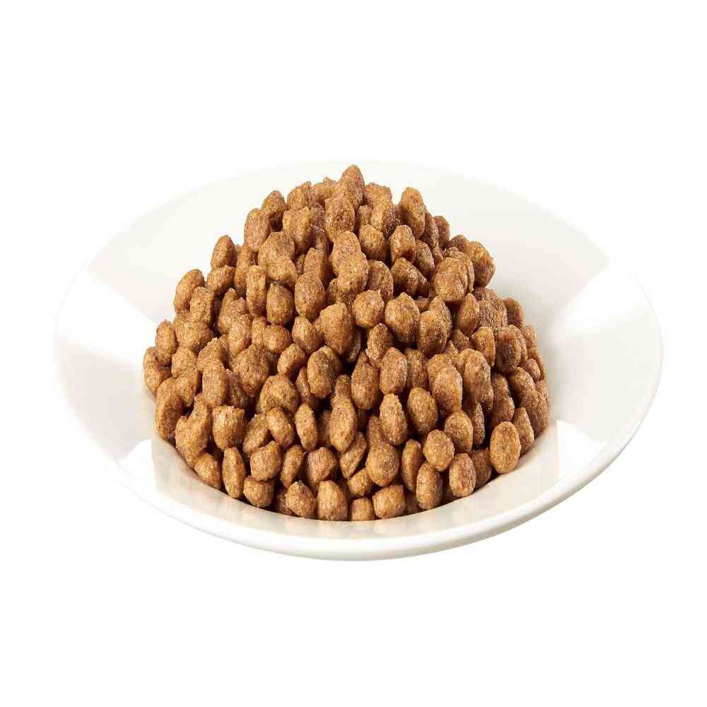 マースジャパンリミテッド シーザードライ 成犬用 チキンと4種の農園野菜入り 超小粒 1.5kg - Image 10