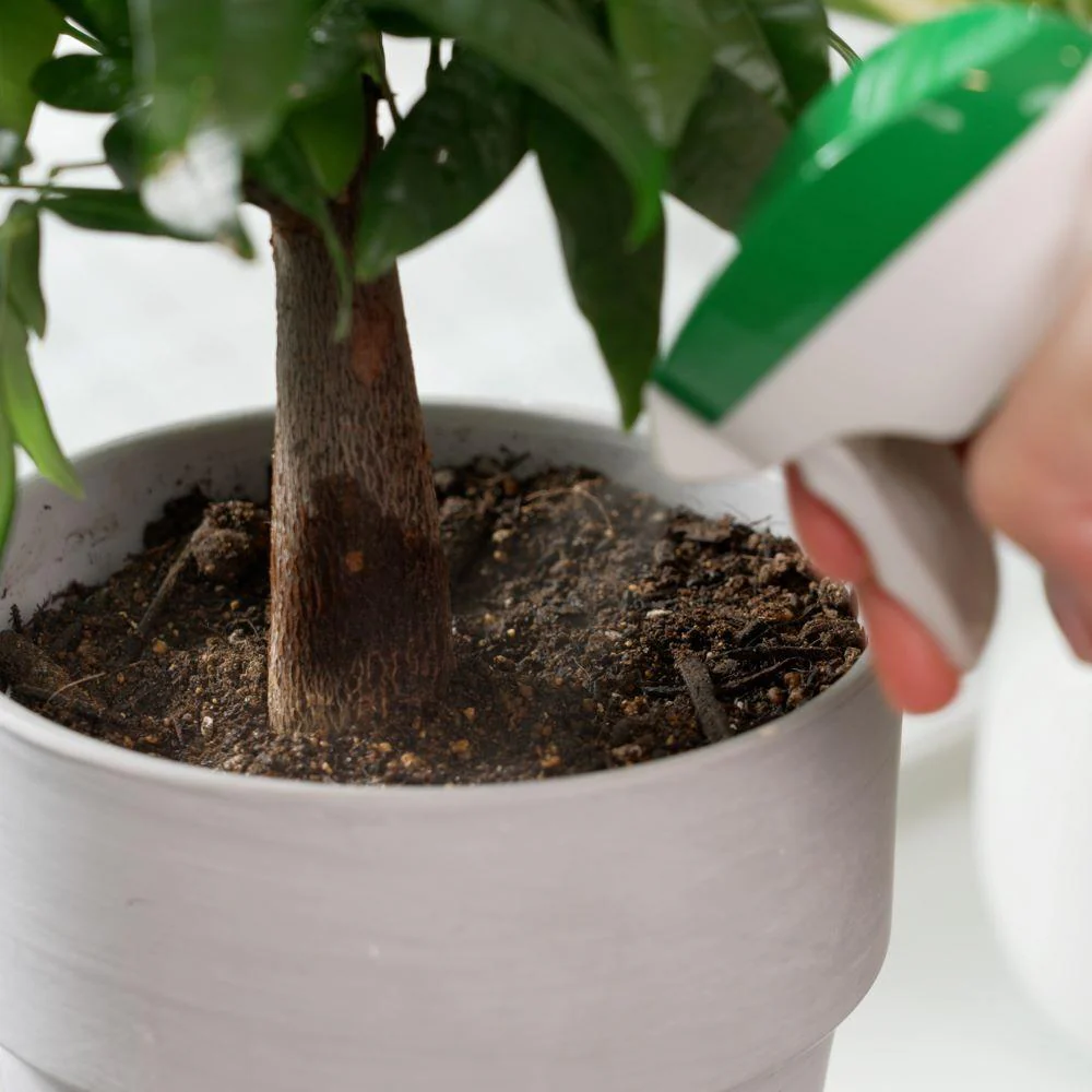 フマキラー 植物まわりのコバエカダン 300ml - Image 3