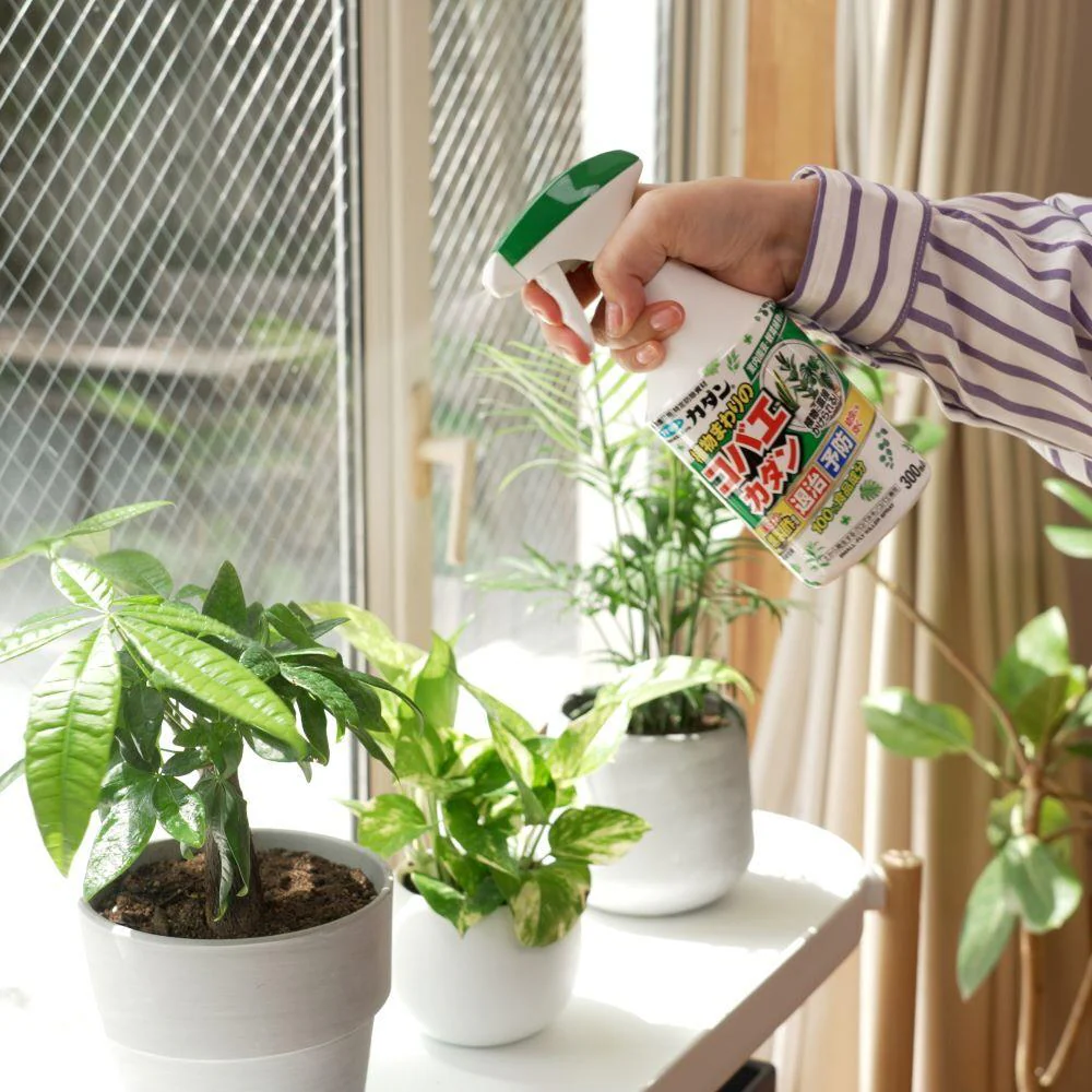 フマキラー 植物まわりのコバエカダン 300ml - Image 4