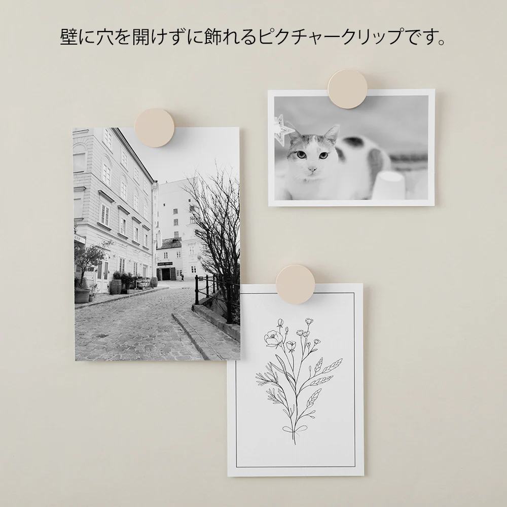 ミドリ ピクチャークリップ 木製 グレー 1パック - Image 3