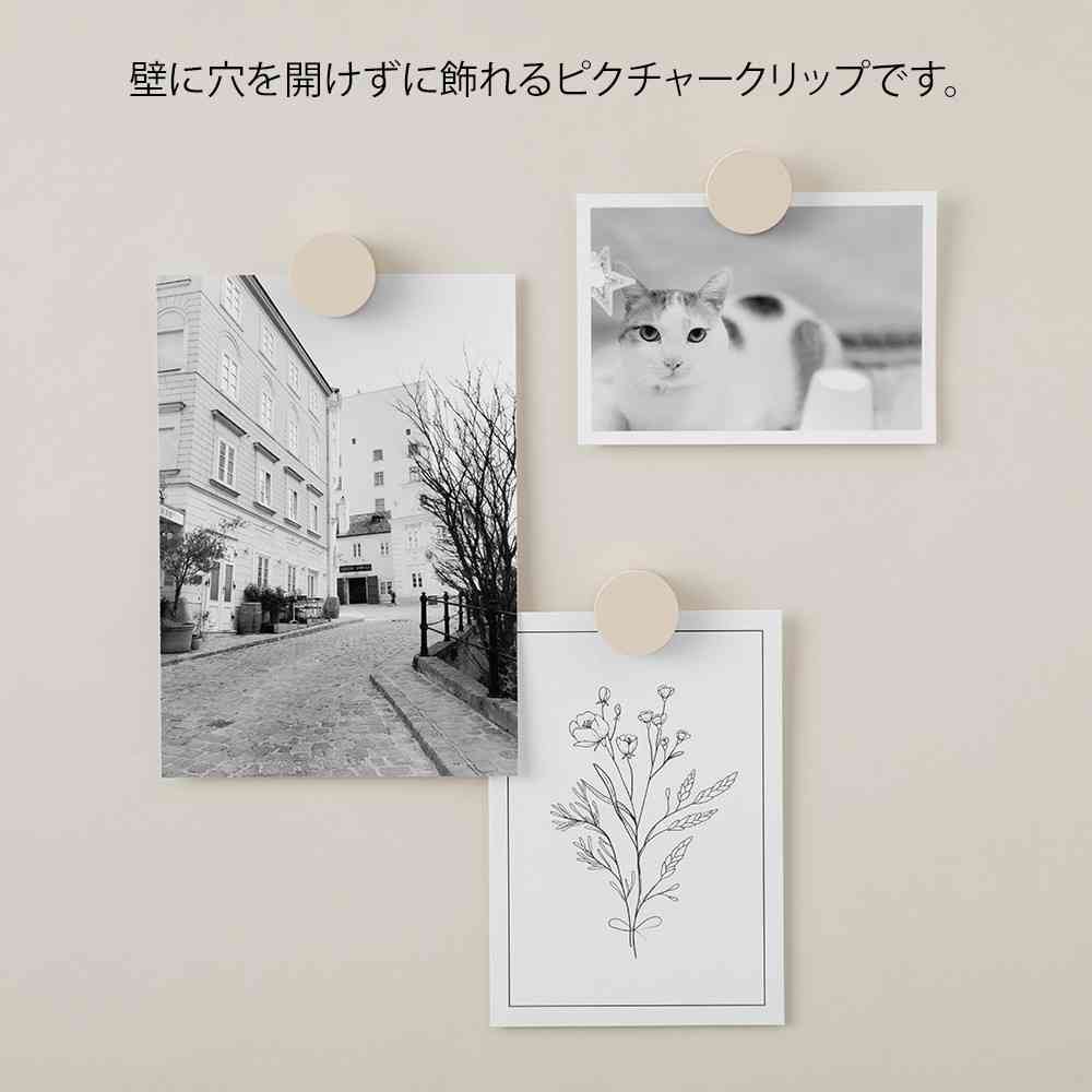 ミドリ ピクチャークリップ 木製 グレー 1パック - Image 8