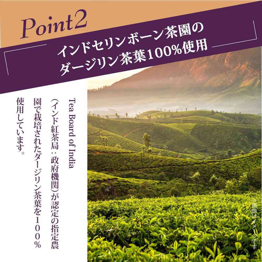 ◆守山乳業 喫茶店の味 オーガニック 紅茶 1000g - Image 5