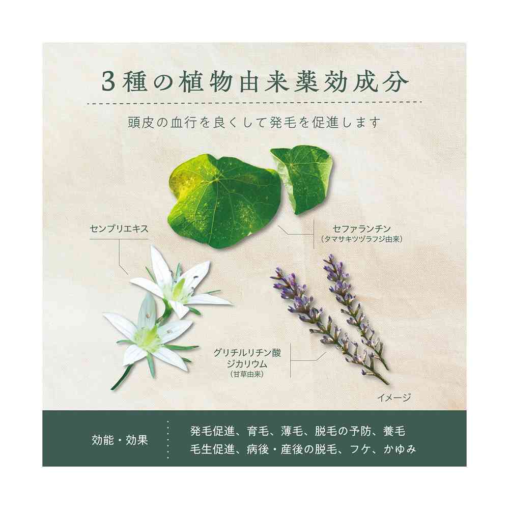【医薬部外品】柳屋 ボタニカル 薬用育毛エッセンス 140ml - Image 6