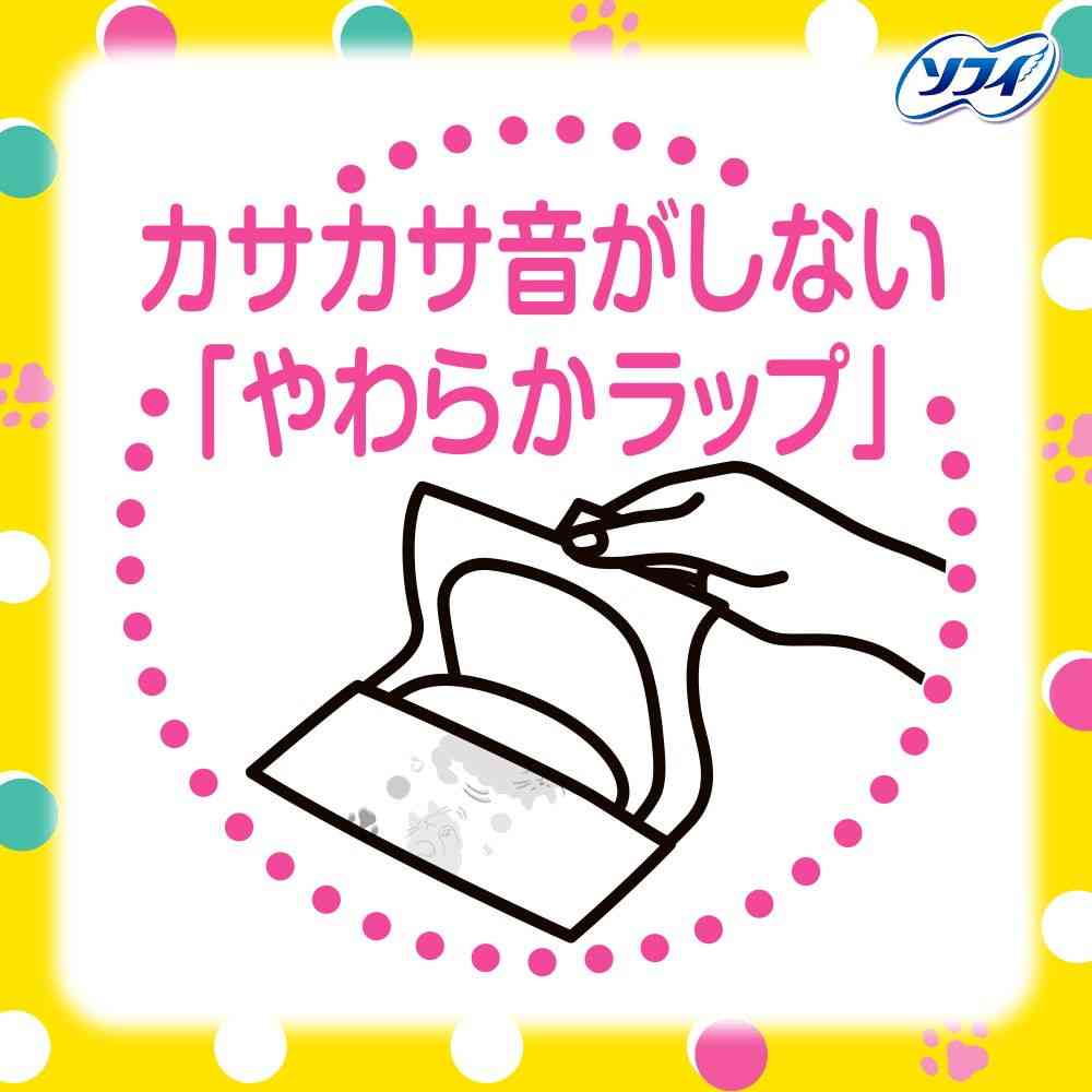 【医薬部外品】ユニ・チャーム  センターイン ふわふわタイプ ふつうの日 羽なし 24枚×2 - Image 4