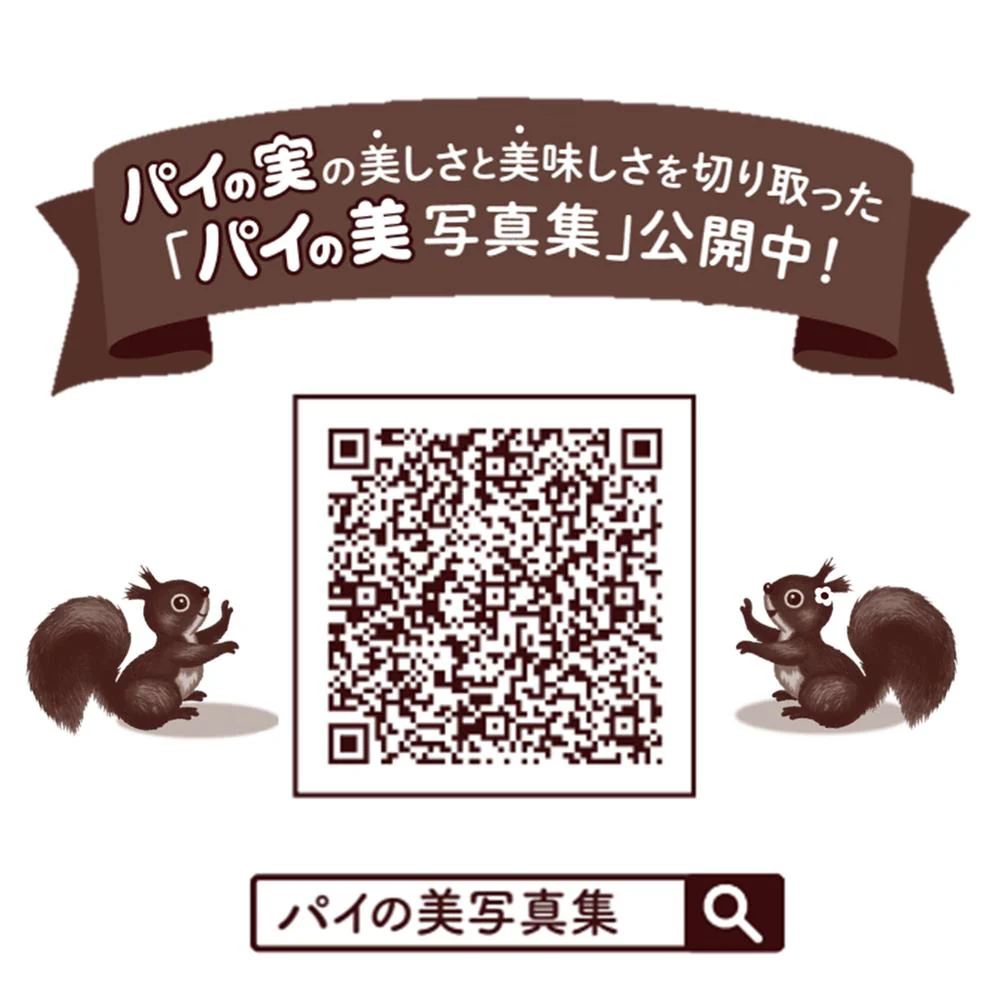 ◆ロッテ チョコを味わうパイの実 深みショコラ 69g - Image 3