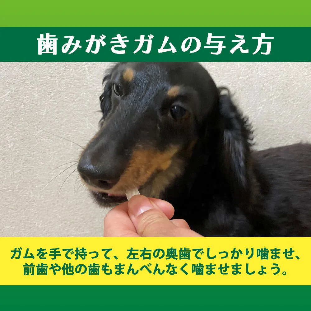 ライオンペット PETKISS 食後ガム超小型犬用 90g - Image 3
