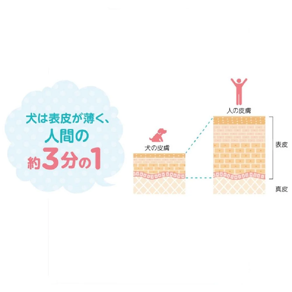 ライオン ペットキレイ 泡リンスインシャンプー 子犬子猫 つめかえ 450ml - Image 7